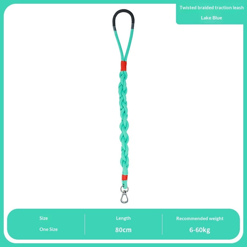 Handmade Woven Dog Leash | Polyester Fiber | 6 Colors