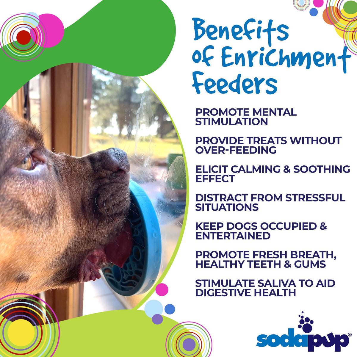 SodaPup Turtle eMat-Mini | Suction Cup Lick Mat for Small Dogs & Cats