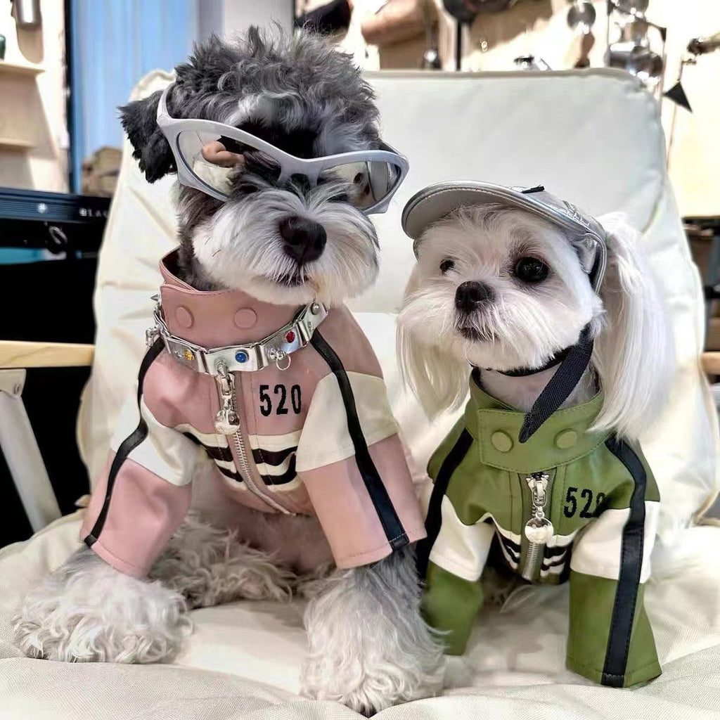 Two dogs modeling pink and green motorcycle-style pet jackets
