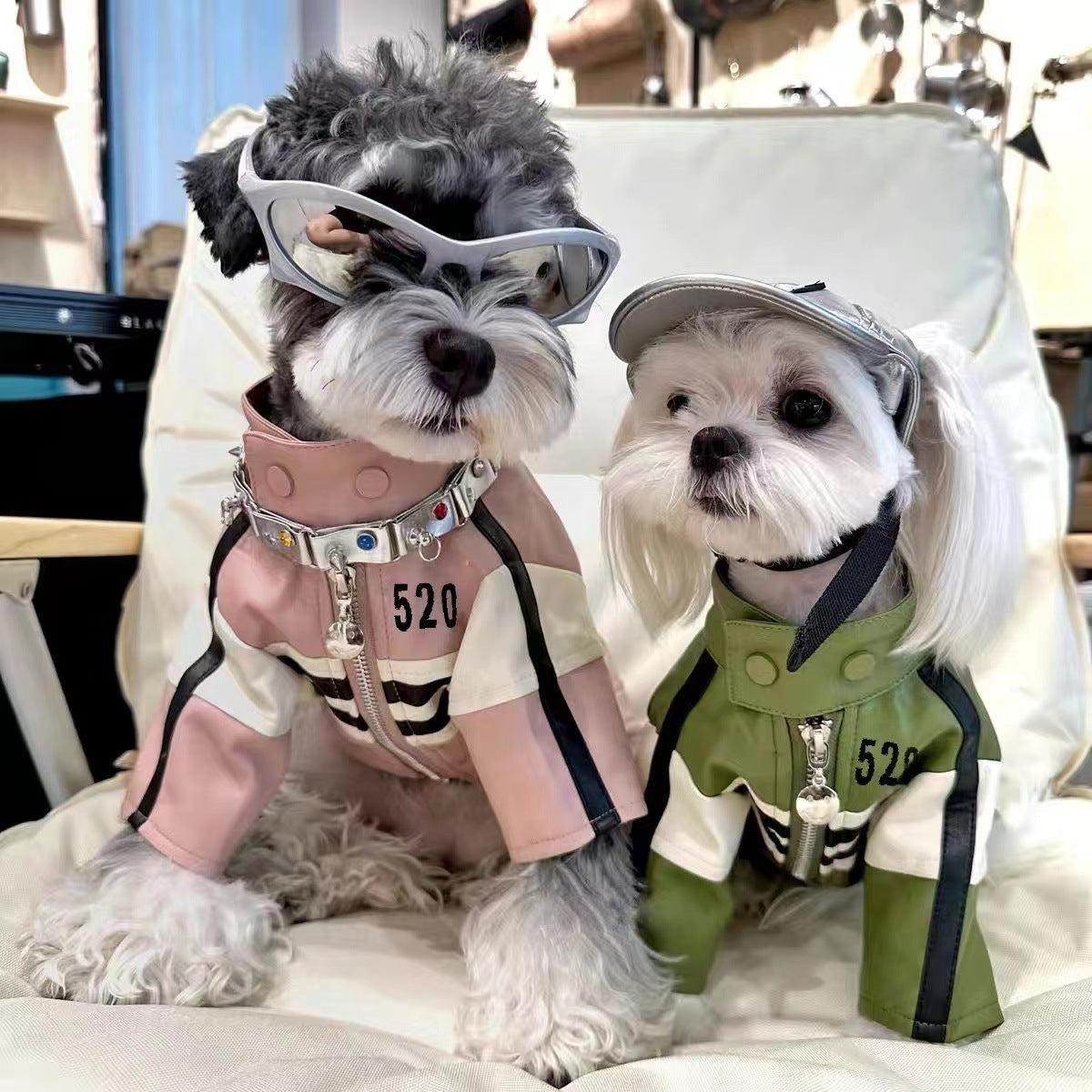 Two dogs modeling pink and green motorcycle-style pet jackets
