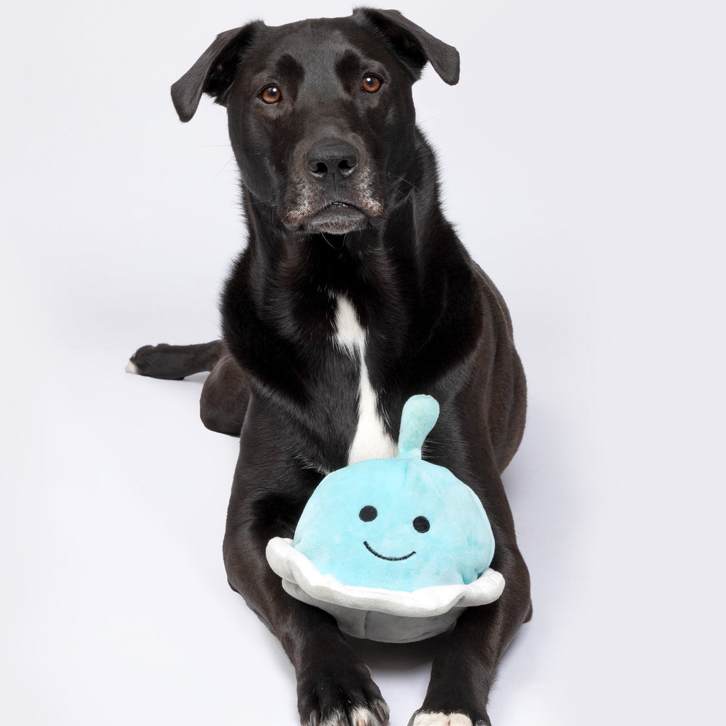 Patchwork Pet Spaceship & Alien Plush Dog Toy – 5 inch