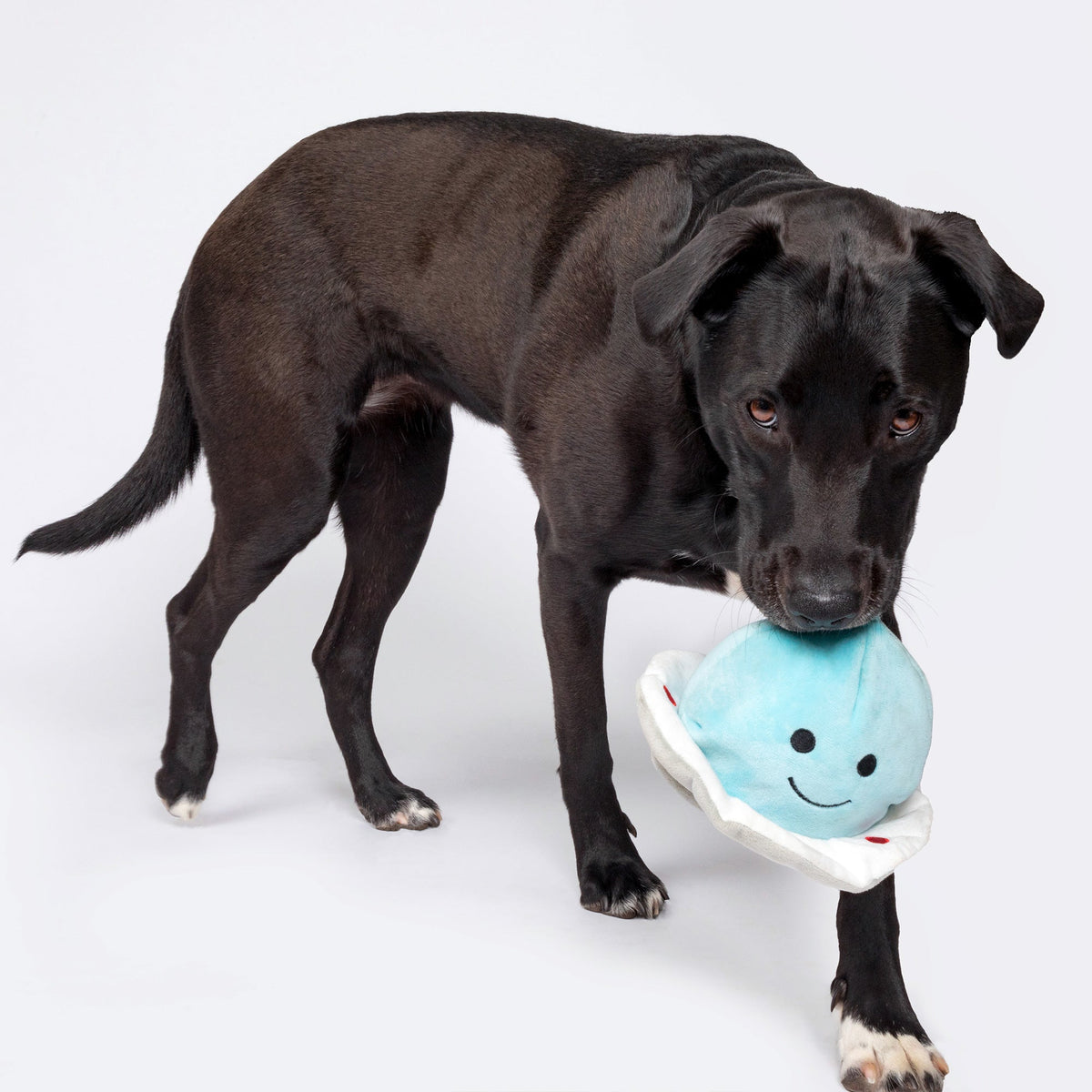 Patchwork Pet Spaceship & Alien Plush Dog Toy – 5 inch
