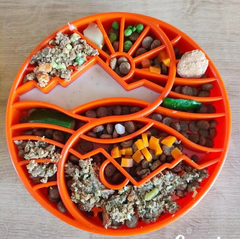 SodaPup Sun and Moon eTray, view 7