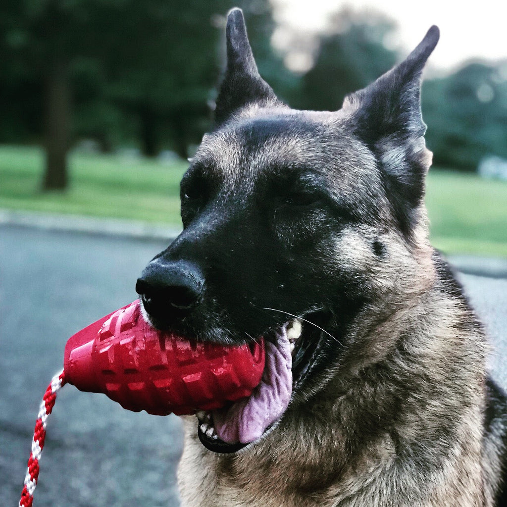 USA-K9 Grenade Rubber Dog Toy | Chew, Tug & Treat Dispenser | USA Made