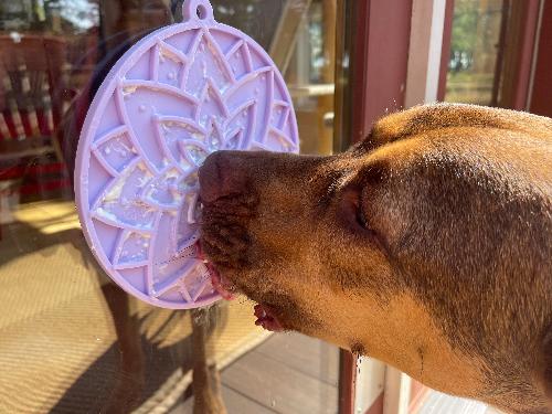 SodaPup Lotus eMat | Suction Cup Lick Mat for Dogs & Cats | USA Made