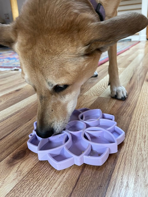 SodaPup Mandala Softie eTray, view 8