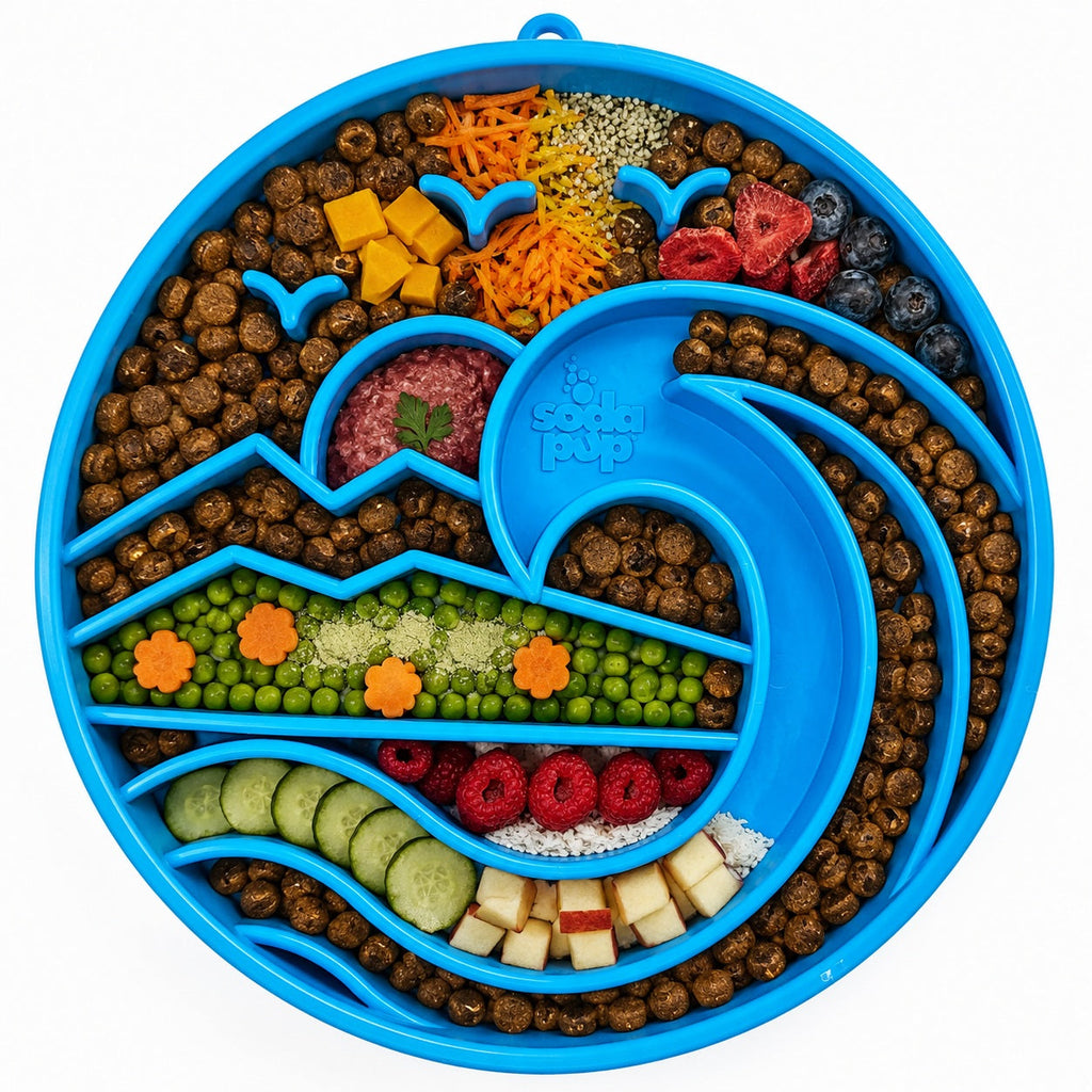 SodaPup Baja eTray, view 2