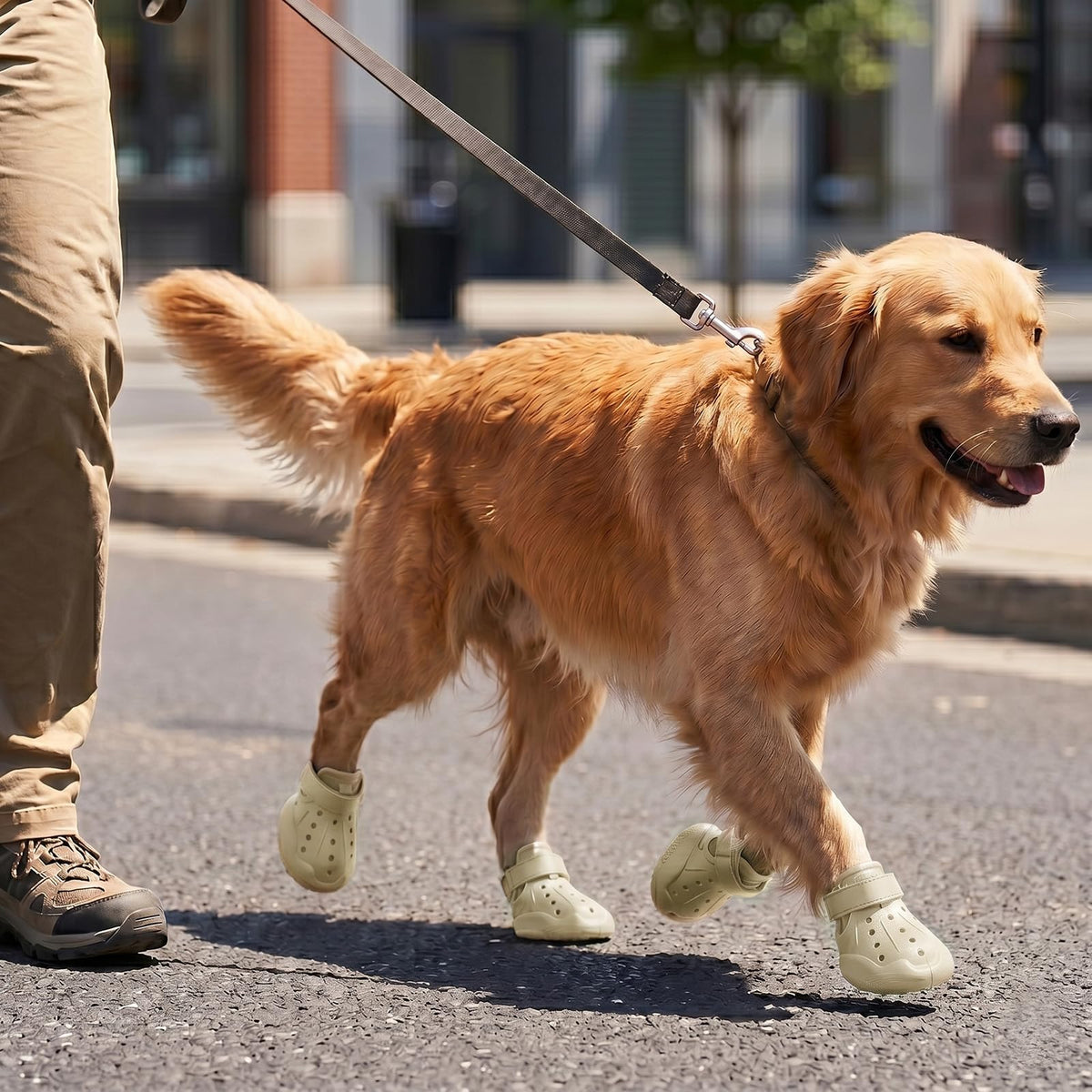 Dog Clog Boots | Waterproof Breathable Sandal Shoes for Dogs