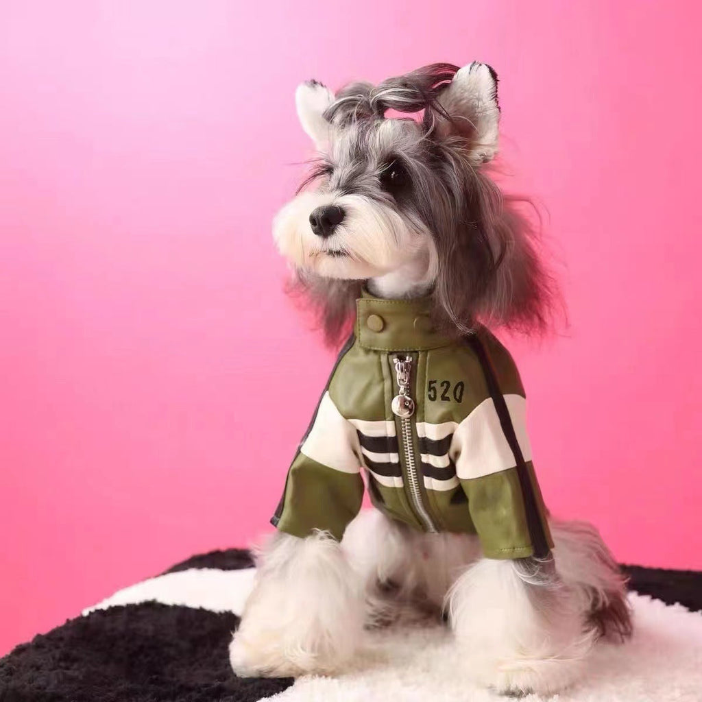 Dog Motorcycle Jacket, view 3