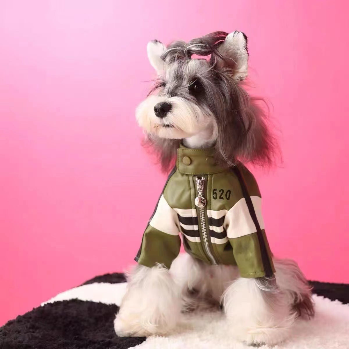 Dog Motorcycle Jacket, view 3