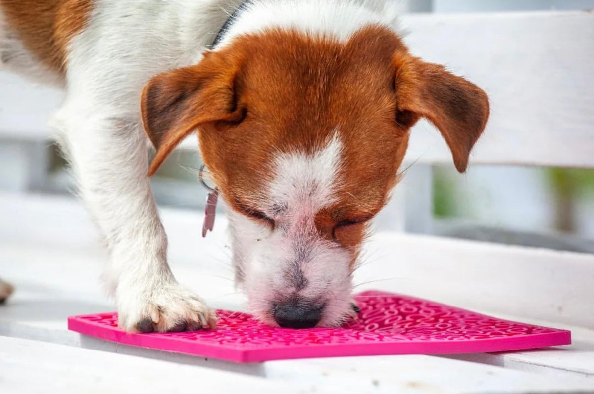 SodaPup Flower Power eMat | Retro Floral Lick Mat for Dogs & Cats | USA Made