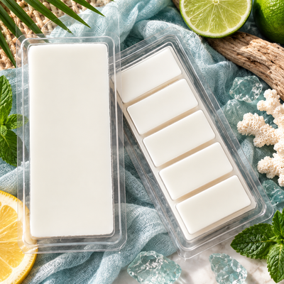 Howl + Ember Pacific Chill Wax Melt styled product photo